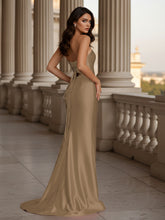 Bayle-Taupe