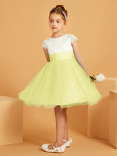 Daffodil