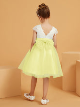 Daffodil