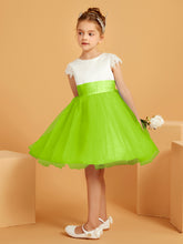 Lime Green