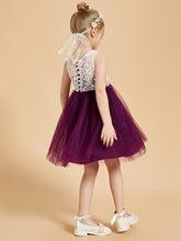Elegant Sleeveless Lace and Tulle Flower Girl Dresses