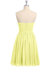 Daffodil