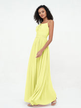 Daffodil