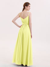 Daffodil