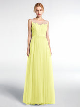 Daffodil