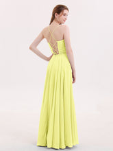 Daffodil
