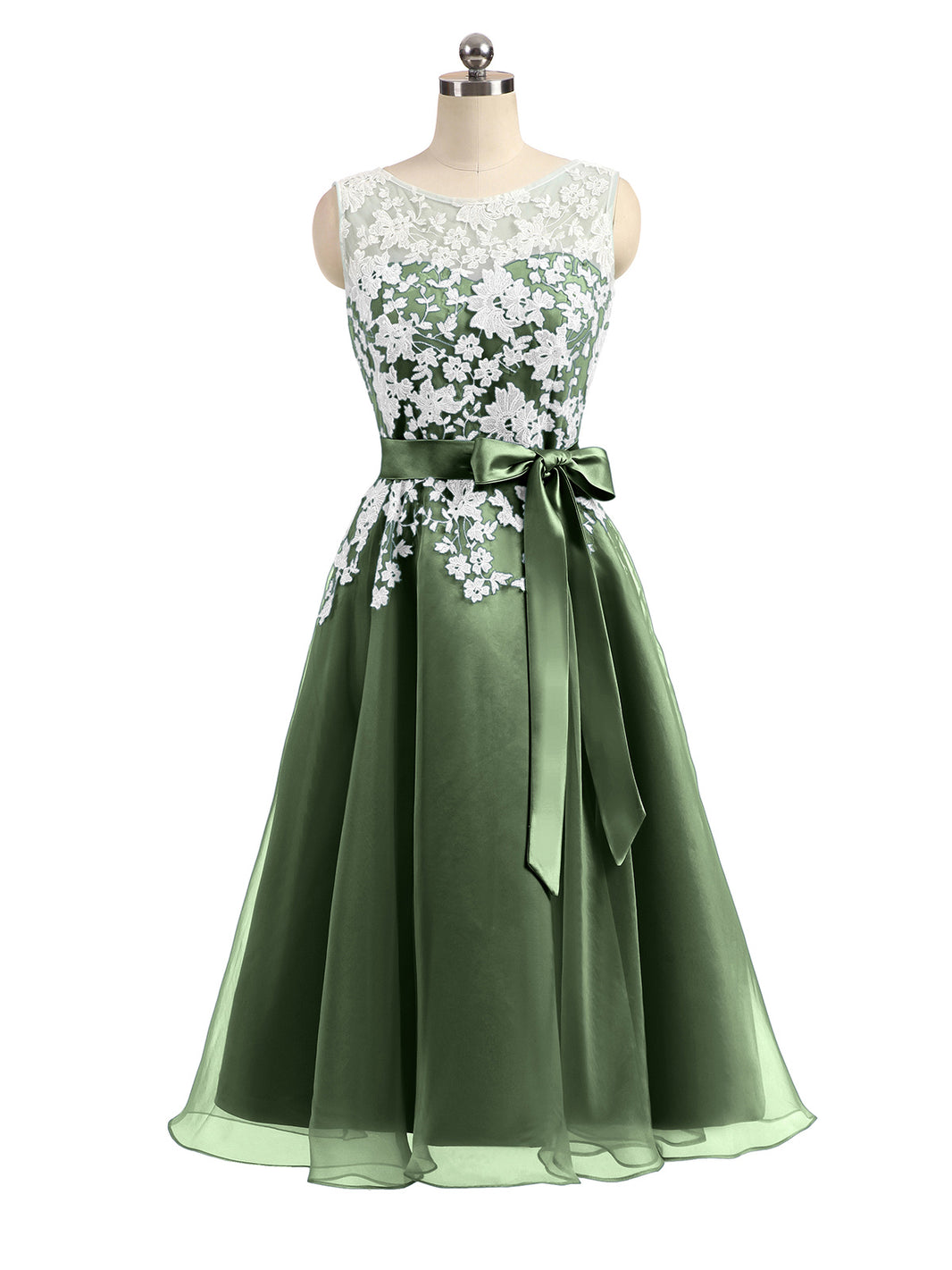 Organza with Ivory Lace Appliqued Short Dress Regency