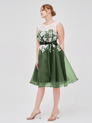 Illusion Neck Organza with Ivory Lace Appliqued  Olive Green Plus Size