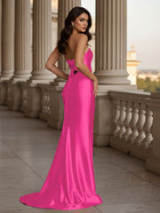 Bayle-Fuchsia