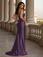 Bayle-Plum