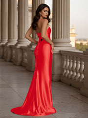 Bayle-Red