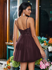 Cabernet