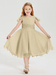 Tea Length Chiffon Junior Bridesmaid Dresses Champagne