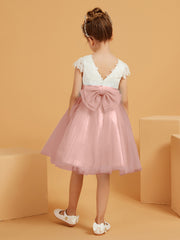 Dusty Rose