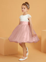 Dusty Rose