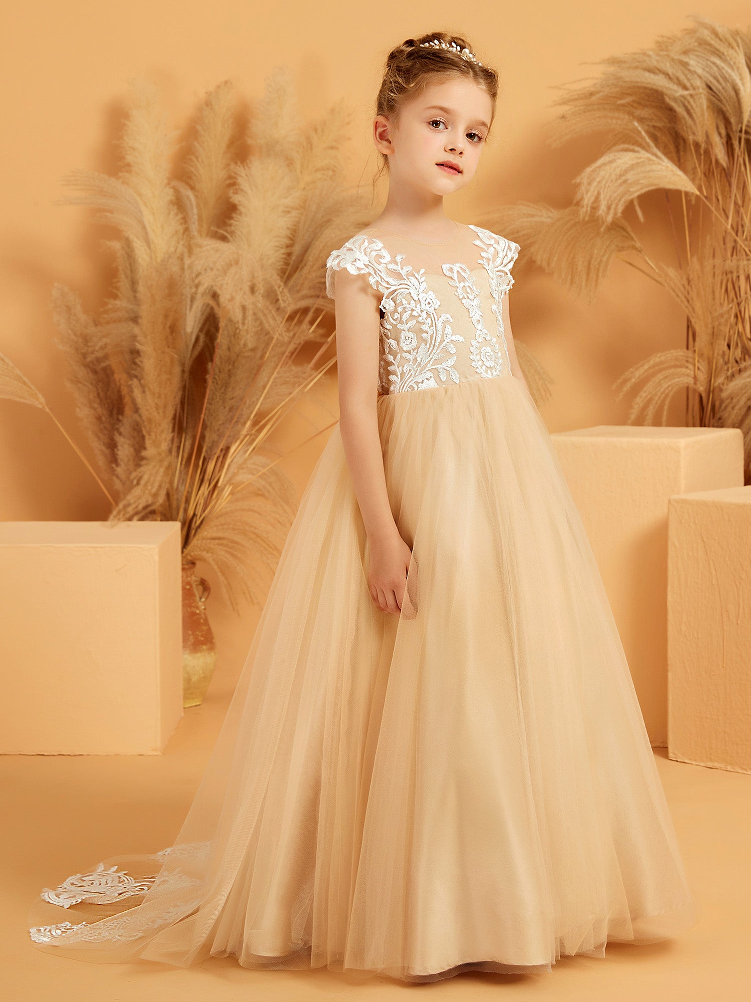 Princess Fairy Illusion Neckline Sequin Tulle A-Line Dress for Girls