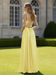 Daffodil