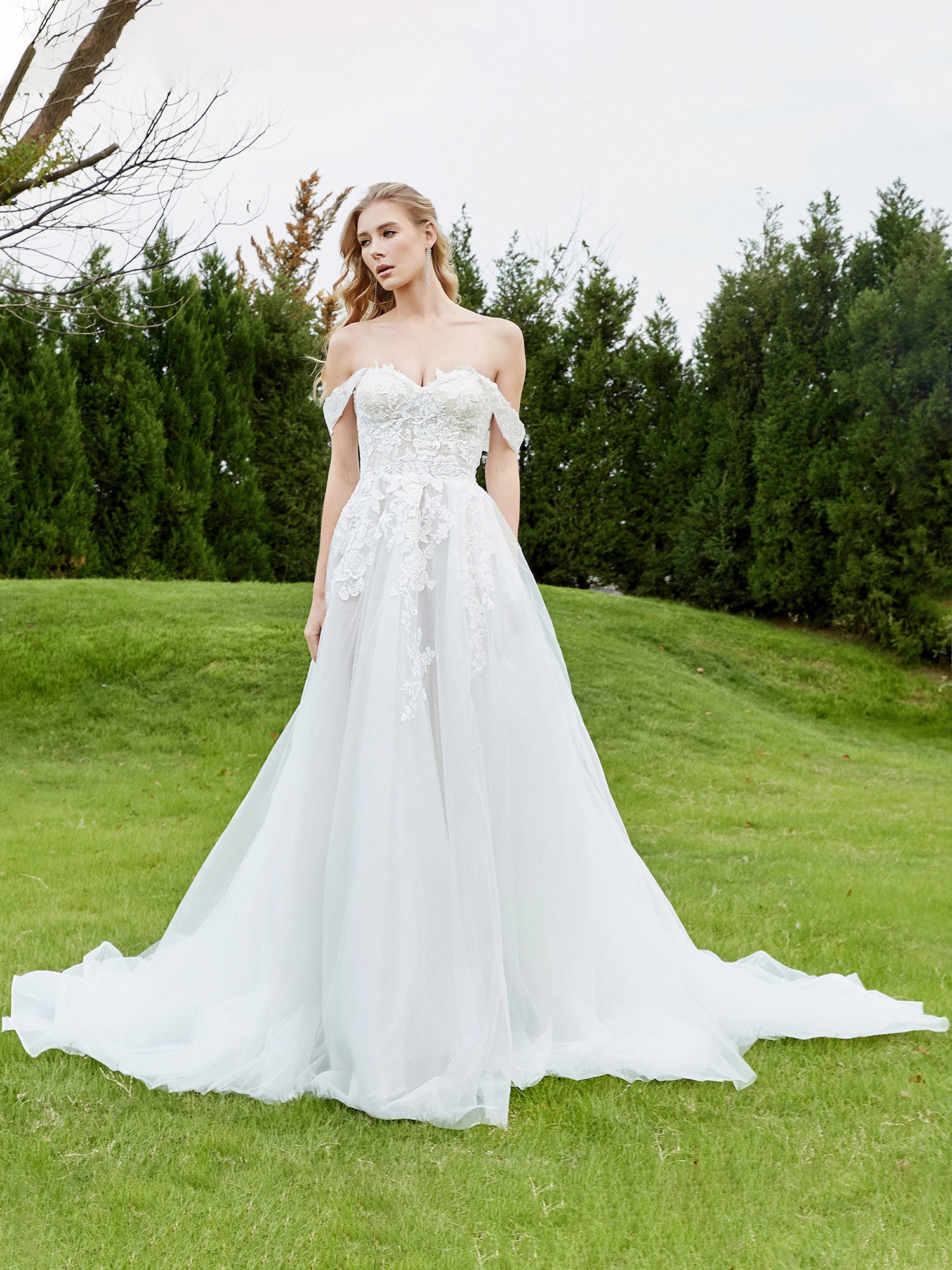 Appliqued Off-the-shoulder A-line Wedding Dress Champagne