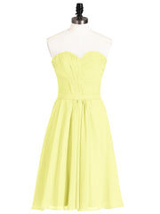 Daffodil