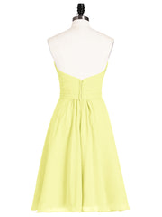 Daffodil