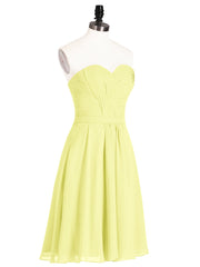 Daffodil
