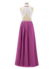 Orchid
